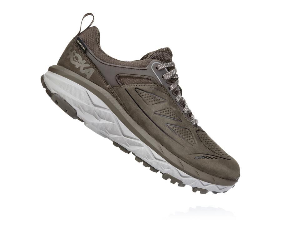 Hoka One One Trainers Womens Brown - Challenger Low GORE-TEX - 45721AFUZ